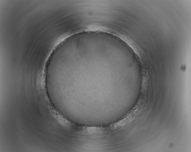 X0000116440832201001191530