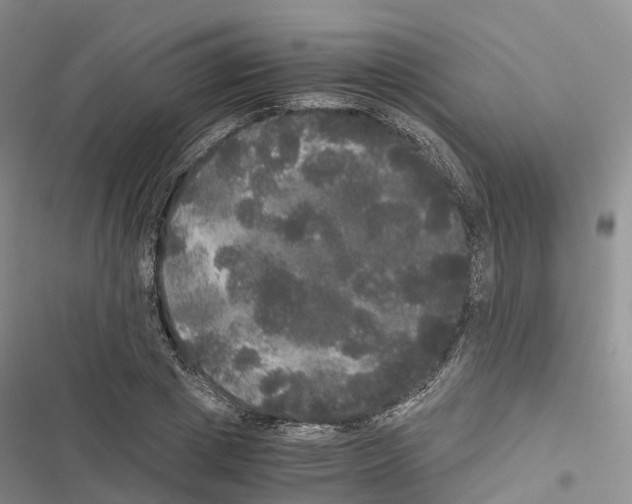 X0000116440833201001191530