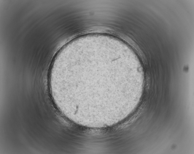 X0000116440834201001191530