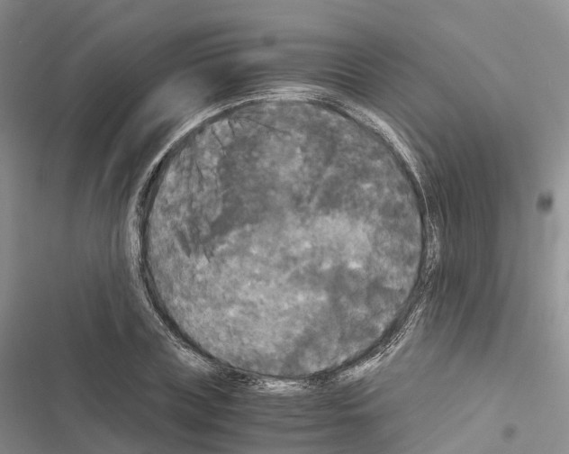 X0000116440835201001191530