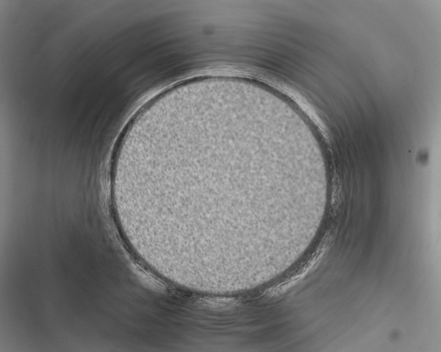 X0000116440837201001191530