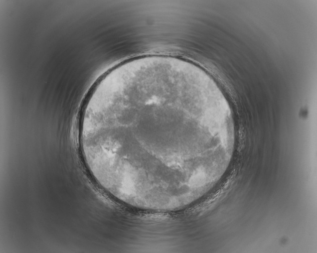 X0000116440838201001191530