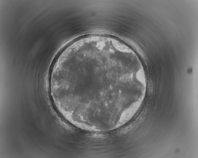 X0000116440839201001191530