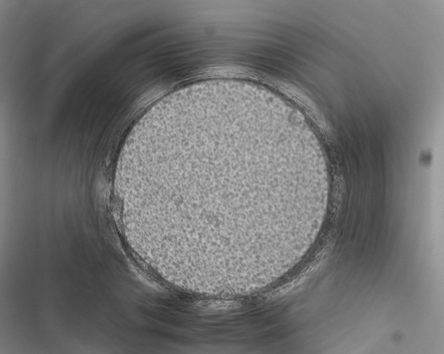 X0000116440841201001191530