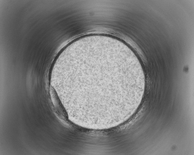 X0000116440842201001191530