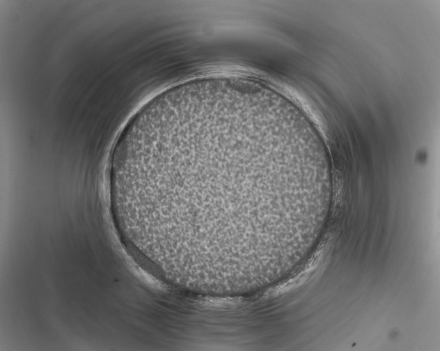 X0000116440843201001191530