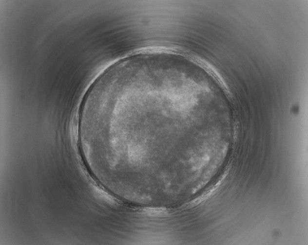 X0000116440844201001191530