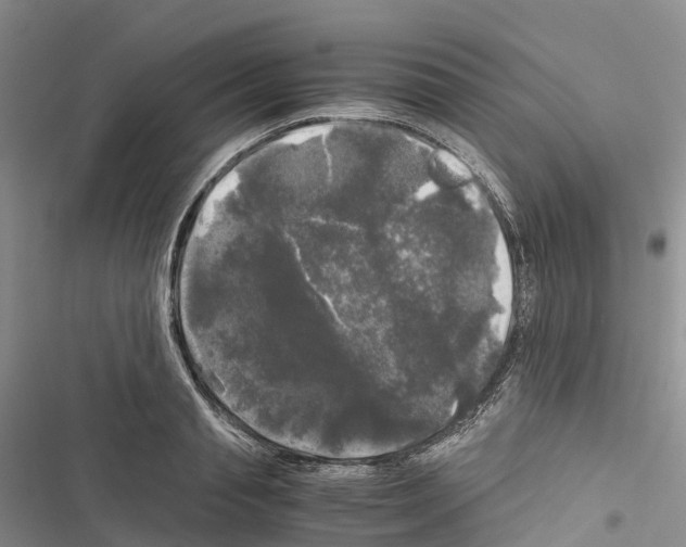 X0000116440845201001191530