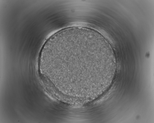 X0000116440846201001191530