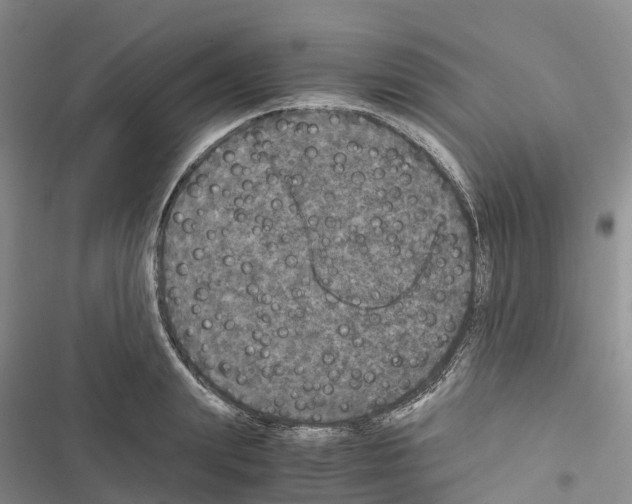 X0000116440847201001191530