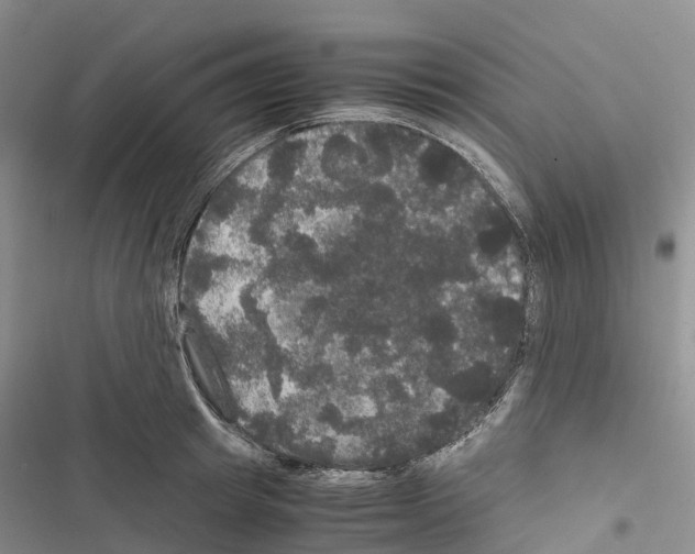 X0000116440849201001191530