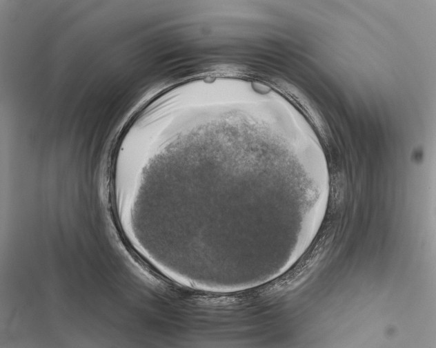 X0000116440851201001191530