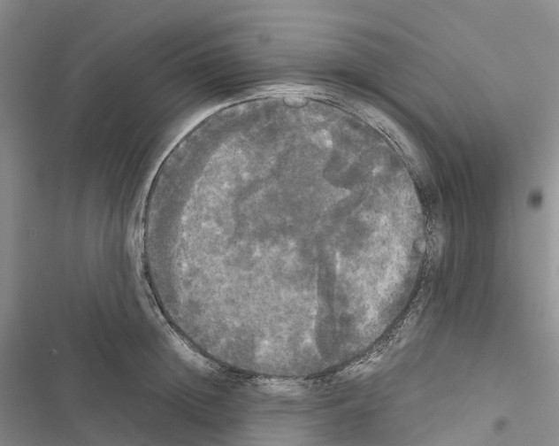 X0000116440852201001191530