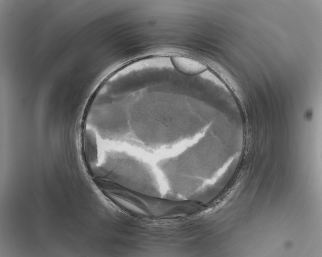 X0000116440853201001191530