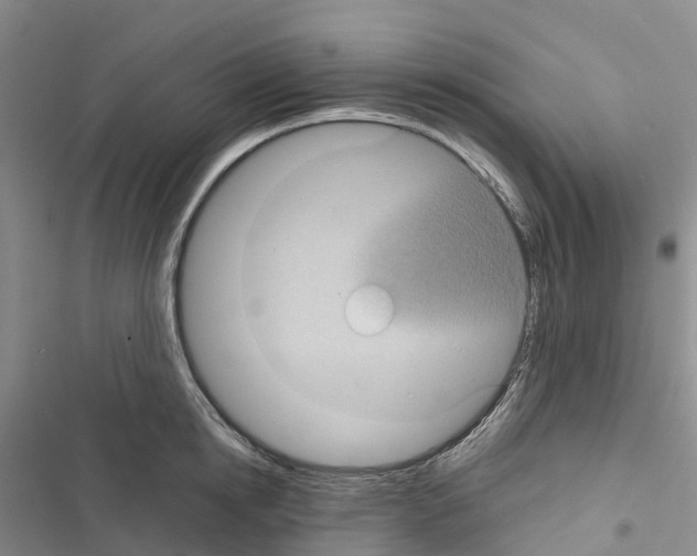 X0000116440854201001191530