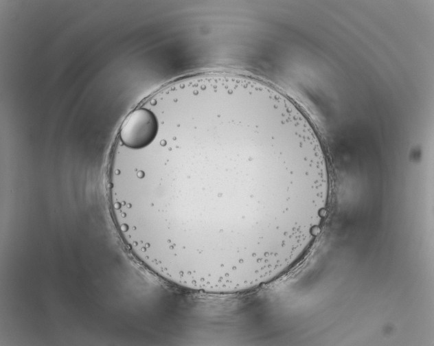 X0000116440856201001191530