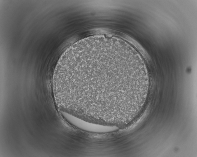 X0000116440857201001191530