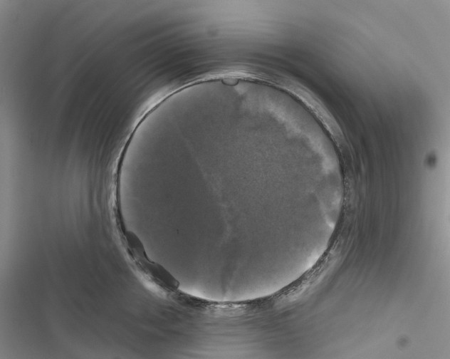 X0000116440858201001191530