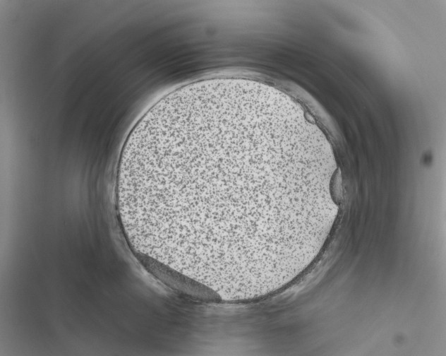 X0000116440860201001191530