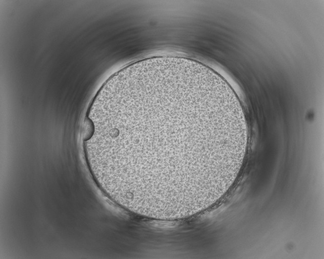 X0000116440861201001191530