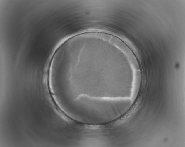 X0000116440862201001191530