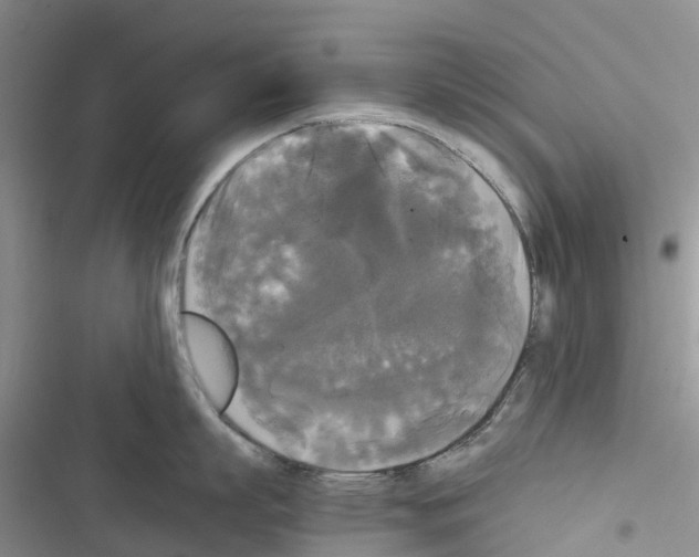 X0000116440863201001191530