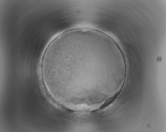 X0000116440864201001191530