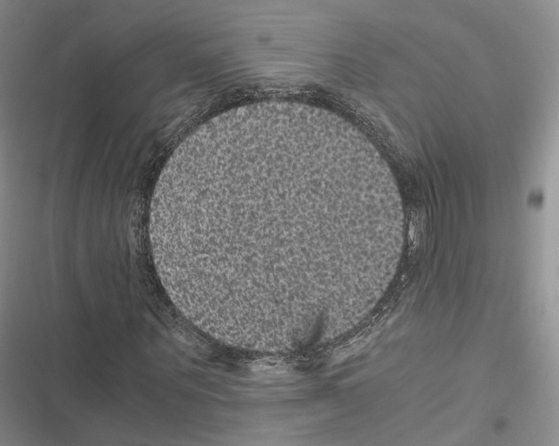 X0000116440867201001191530