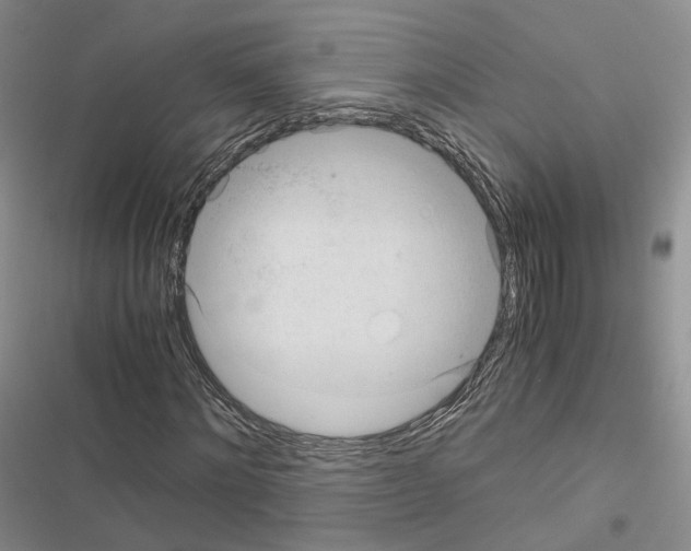 X0000116440868201001191530