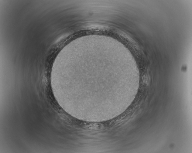 X0000116440869201001191530