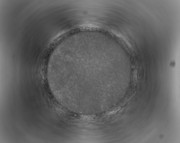 X0000116440870201001191530