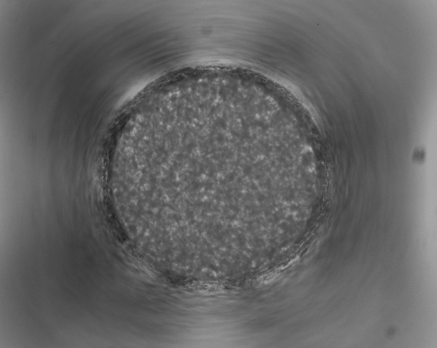 X0000116440871201001191530