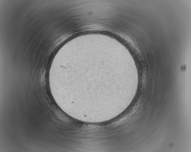 X0000116440873201001191530