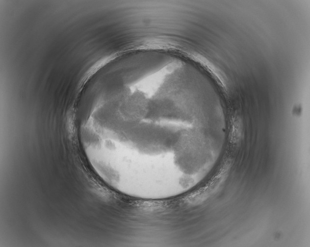 X0000116440874201001191529