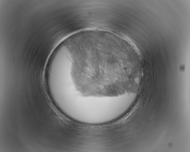 X0000116440876201001191529