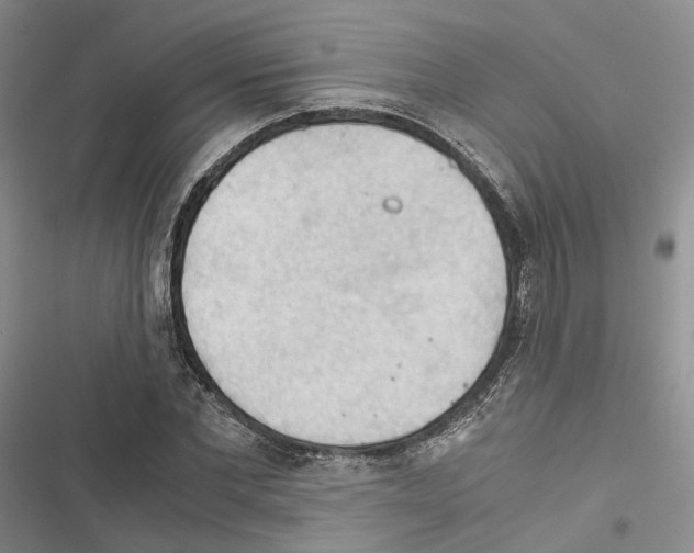 X0000116440877201001191529