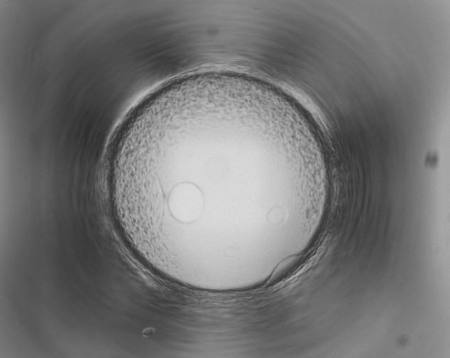 X0000116440878201001191529