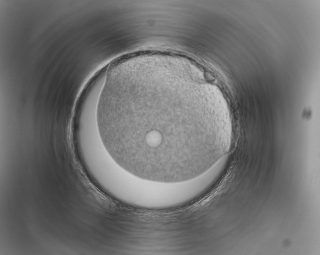 X0000116440880201001191529