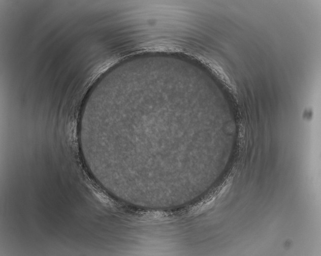 X0000116440881201001191529