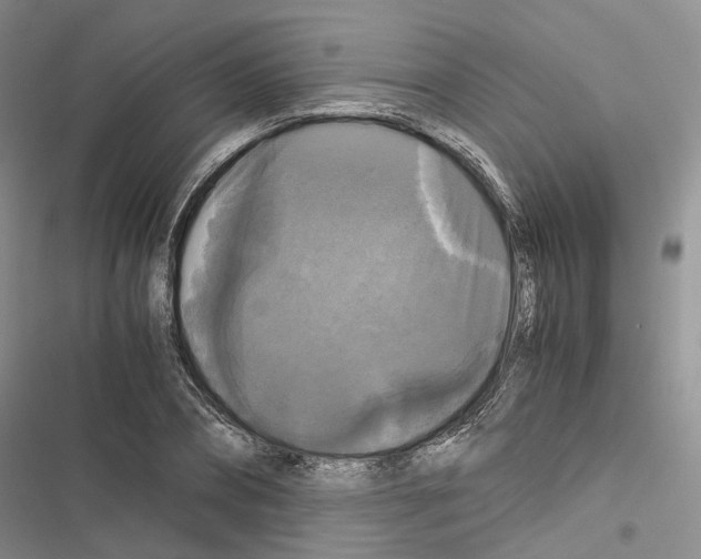 X0000116440882201001191529