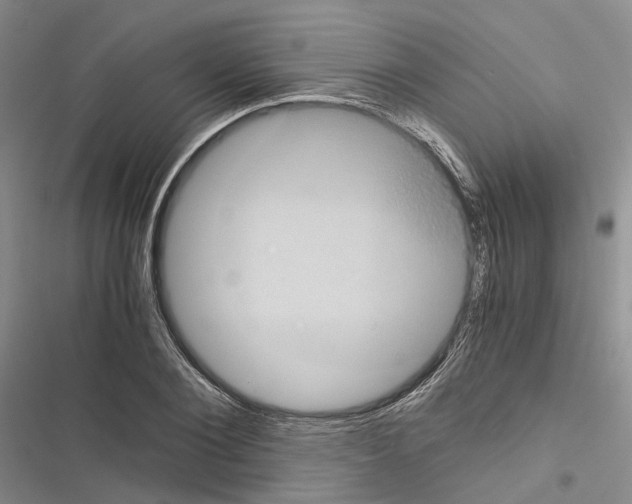 X0000116440884201001191529