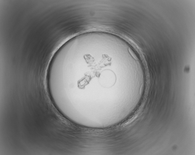 X0000116440885201001191529