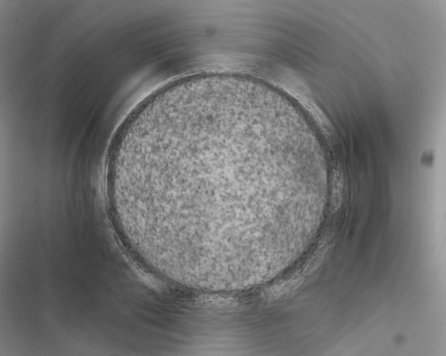 X0000116440886201001191529