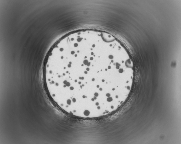 X0000116440888201001191529