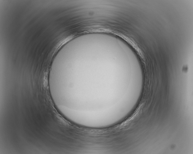 X0000116440889201001191529