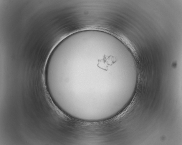 X0000116440892201001191529