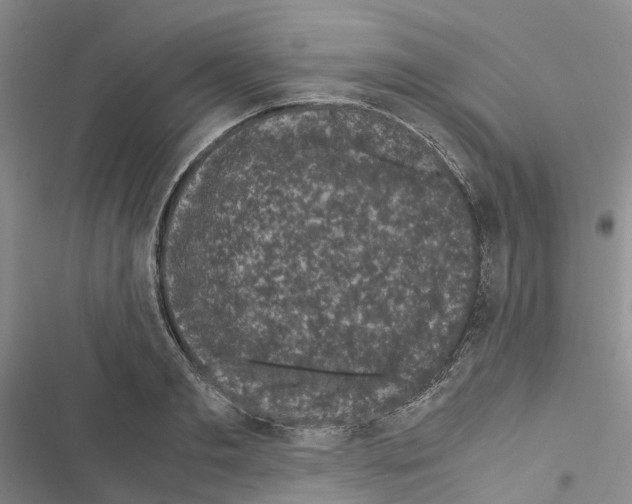 X0000116440893201001191529