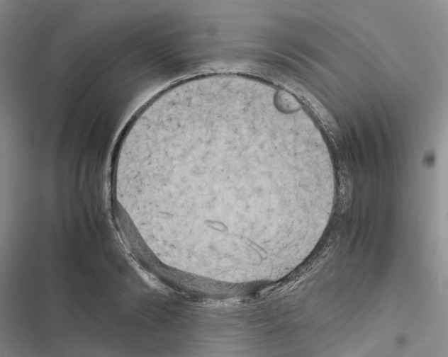 X0000116440894201001191529