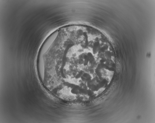 X0000116440895201001191529