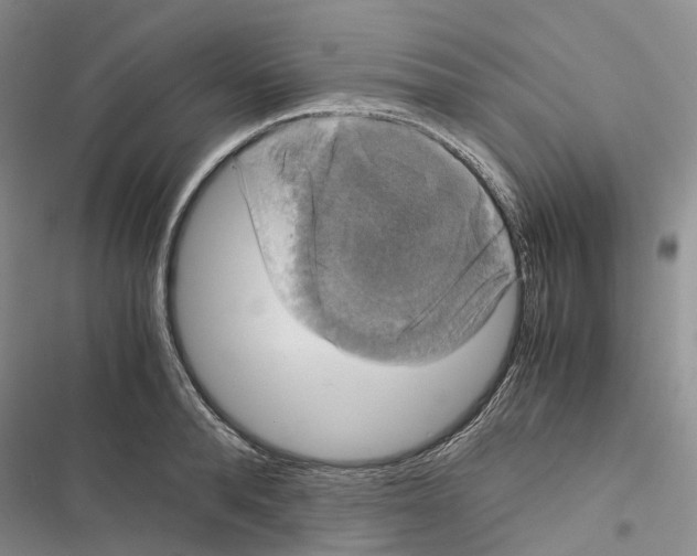 X0000116440896201001191529